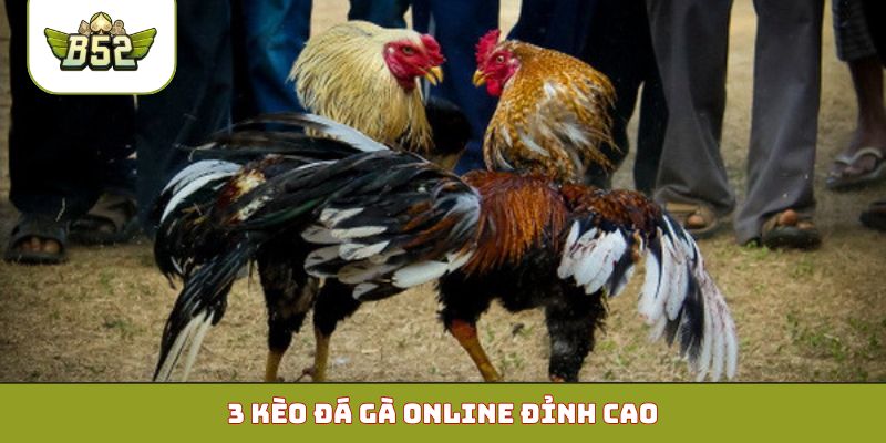 3 kèo đá gà online đỉnh cao