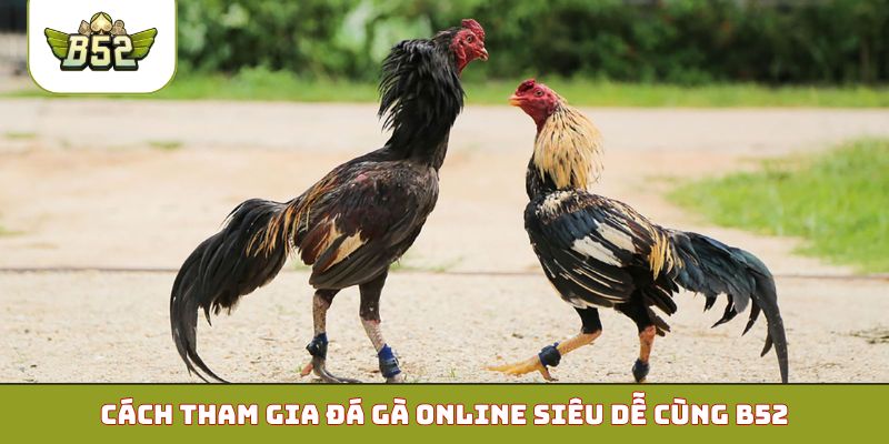 Cách tham gia đá gà online siêu dễ cùng B52